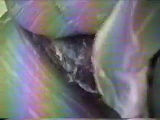 panocha peluda