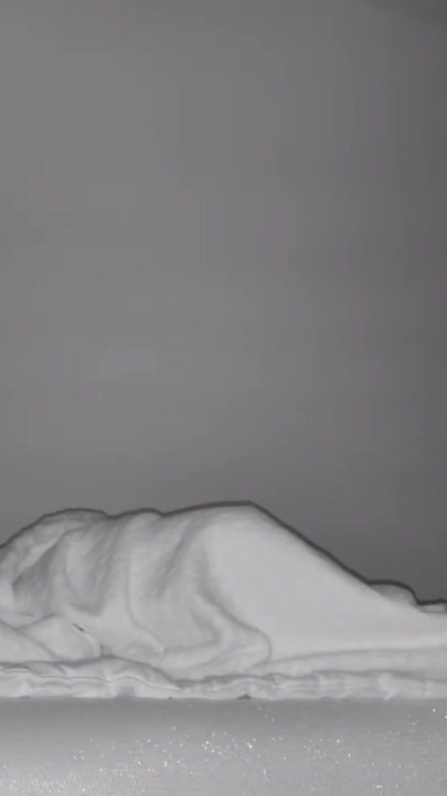 Night Vision Cam Catches Roommate Rubbing Herself | Clip 1
