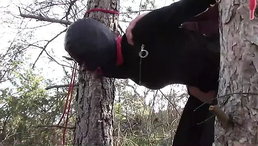 Outdoor-sex im wald. Sexy kleidung und high heels zu tragen, gefesselt, kehlenfick und gefickt