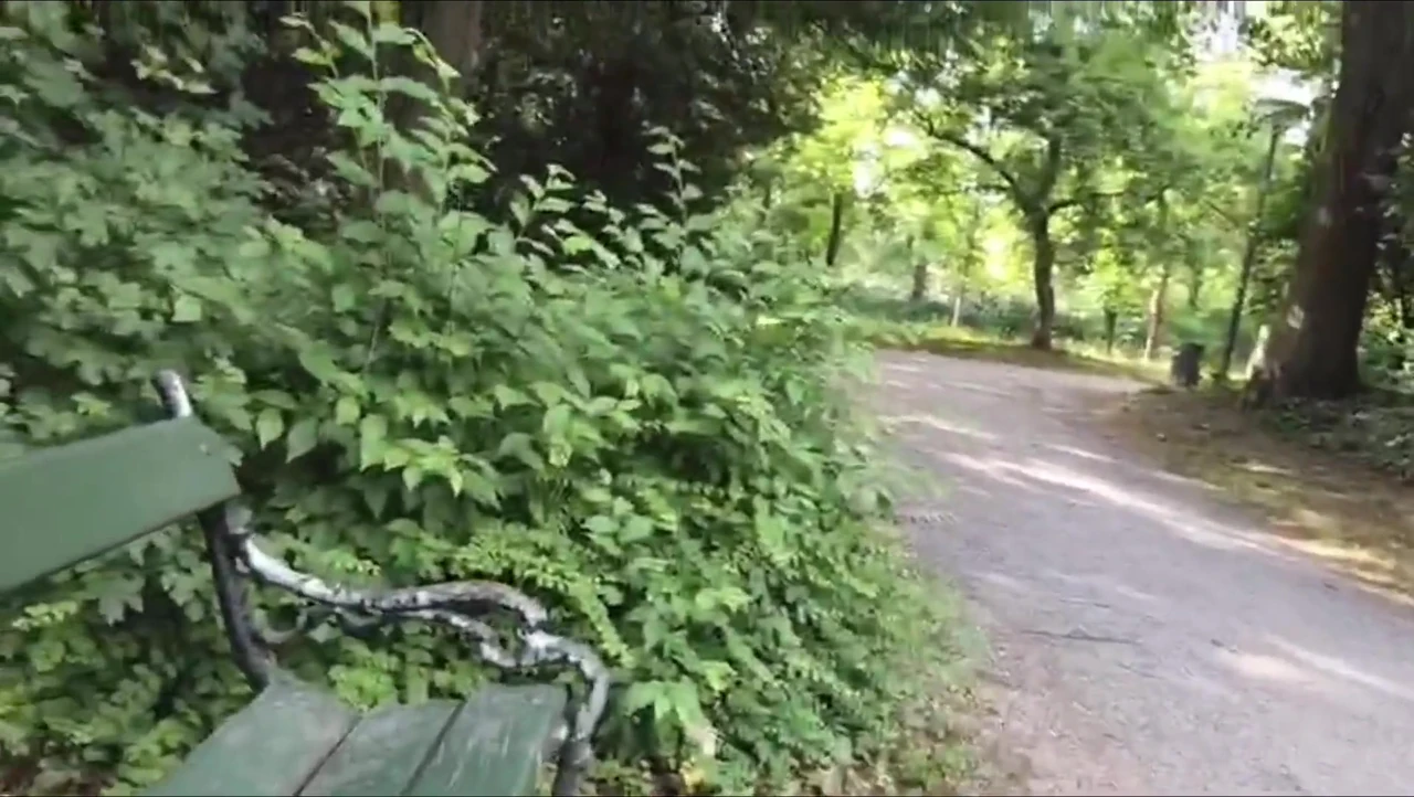 Parkta halka açık mastürbasyon yapıyor ve herkes beni gördü