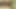 Pakistani Wife Fucking Her Husband In Amazon Position With Urdu