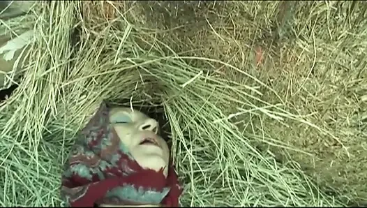 Orhidea, Das Hureschwein (film)