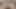 Oyuncaklarla ateşli lezbiyen üçlü seks