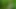 Shy schoolgirl helped me cum and showed her naughty talents! Risky blowjob and handjob in the forest with birds singing!