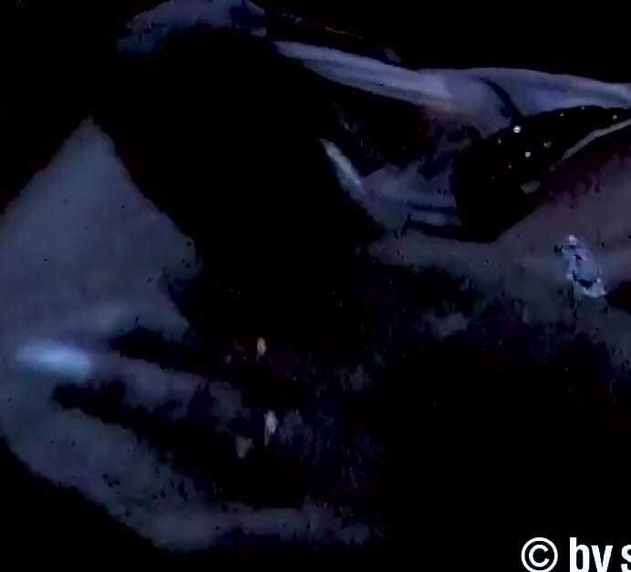 Perverted MILF Wants to Pop in the Car
