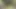Hot Girlfriend with Wet Pussy and Lots of Orgasms. Loud Groans. Dirty Talk