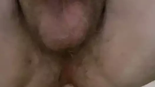 KEDİ içinde aşk