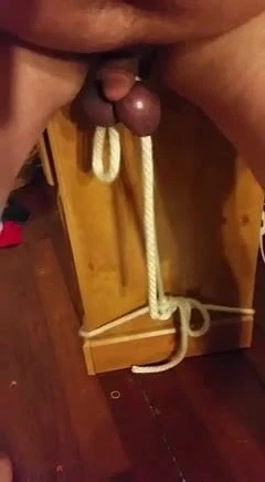 Testicle weight lifting