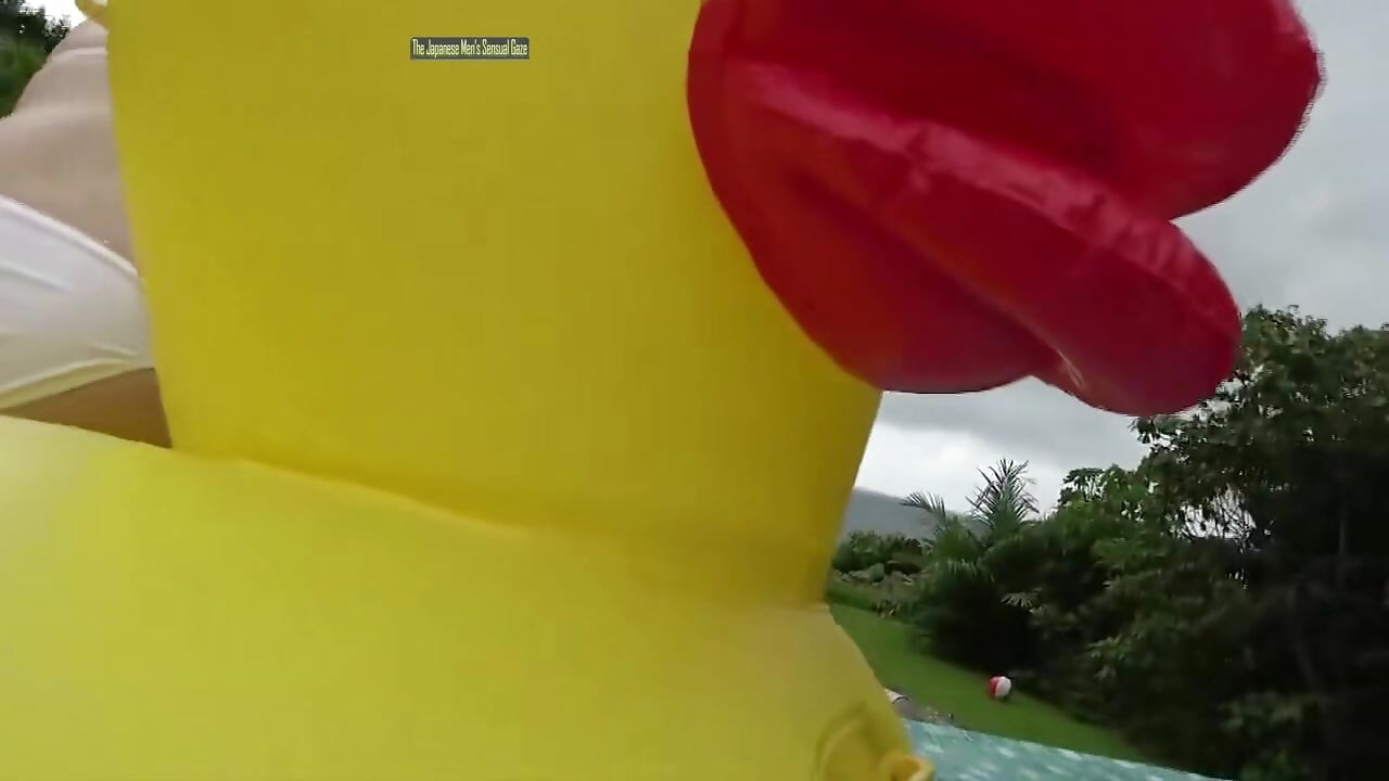 Anjo Asiático 27735