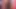 Uzun bacaklı Afrikalı porno yıldızı fotoğrafçıyı soyunuyor ve sikiyor