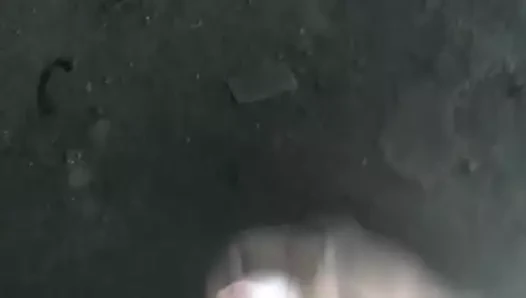 Mecanico paja