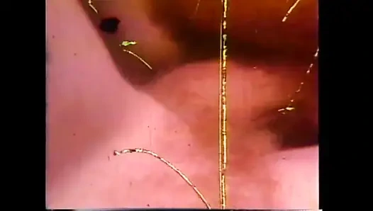 Legenda porno- "USA 1969, awalnya - adegan 14"