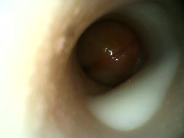 Internal Fleshlight Cum