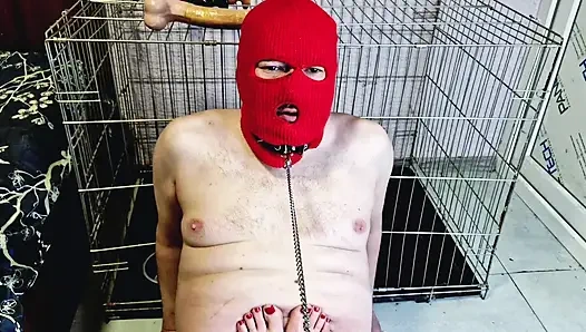 Cewek dominatriks menggoda budak seksnya dengan memberinya kesempatan untuk ngentot kakinya, tapi jangan sampai budak seks ini crot banyak banget