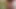 Sonusucker licking tasty dick of Boyfriend