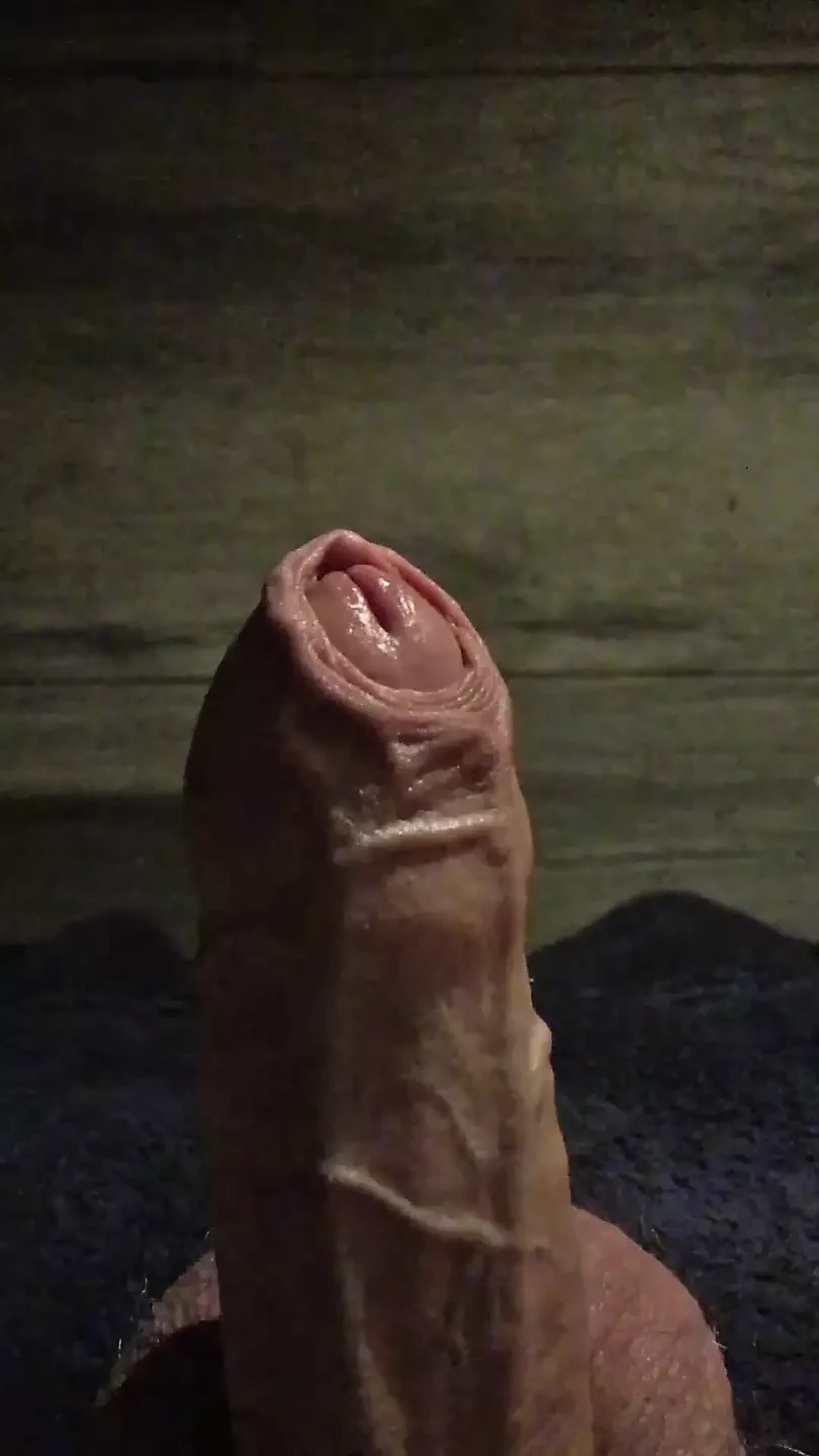 Playing with my Foreskin