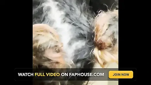 Aku lagi asik nyepong kontol sebelum memek becekku dientot habis-habisan sama kontol besar pria kulit hitam