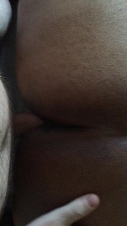 white cock