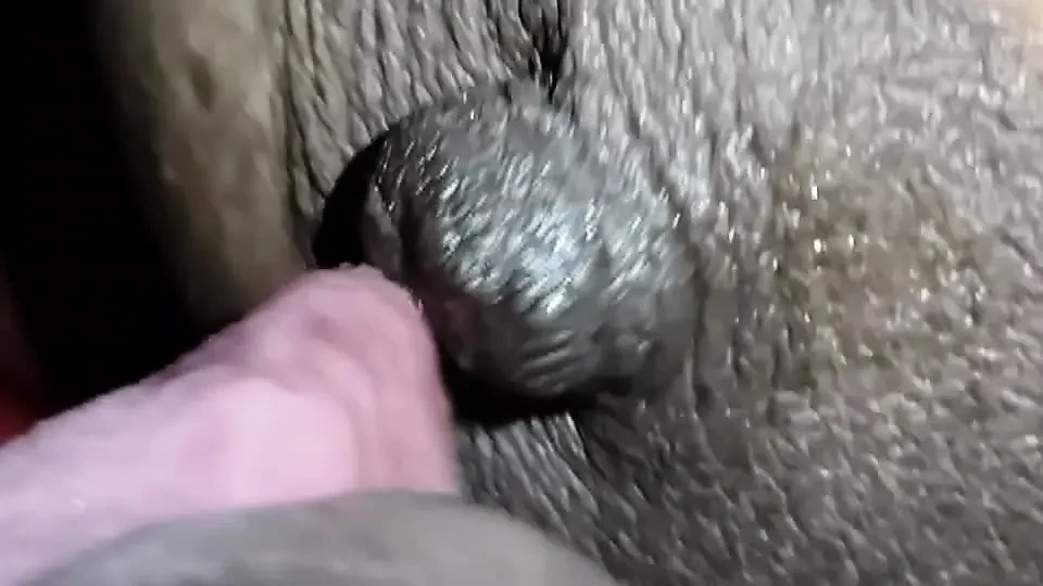 印度情侣在晚上做爱