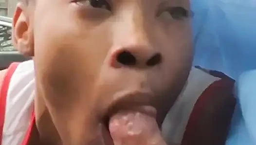 Zierliches ebenholz würgt auf dickem schwanz