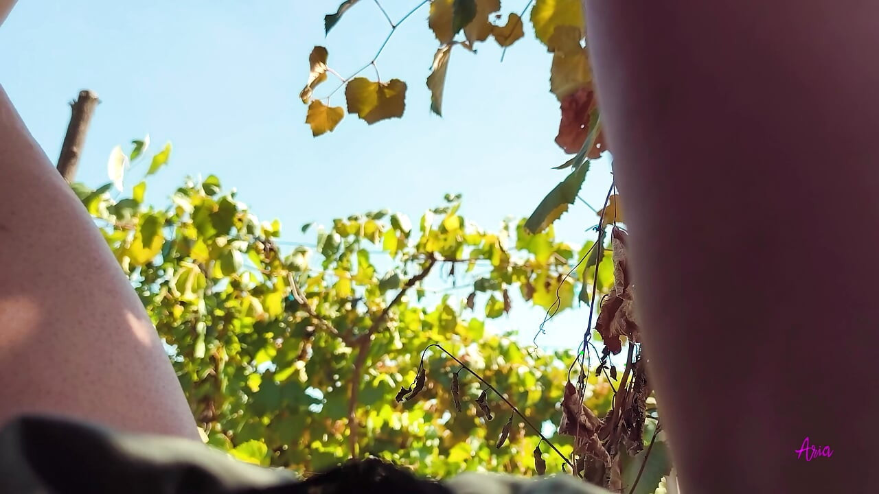 Big tits, curvy sexy wife, fucked outdoor in nature