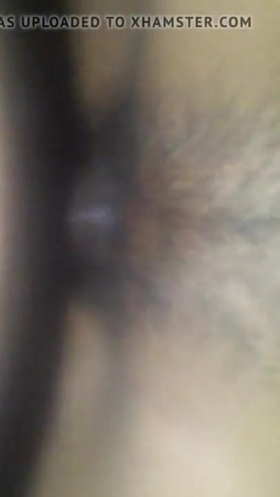 LaleGator