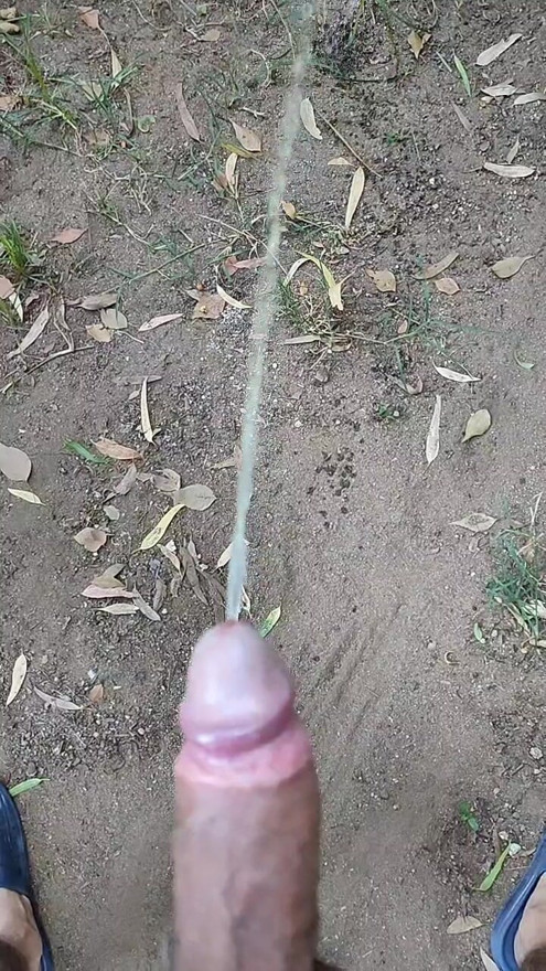 Pišaćka