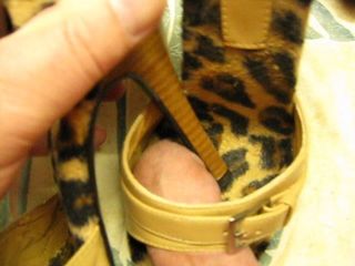 Hamster arkadaşlarının karısının güzel topuklu ayakkabıları ile eğlenceli5