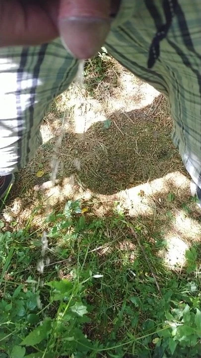 pissing in the woods