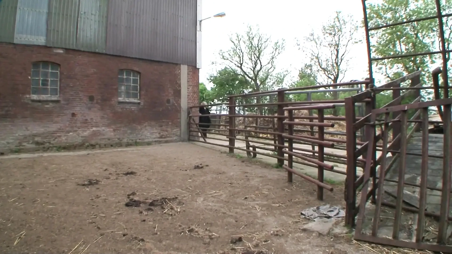 Hardcore BDSM at the farm