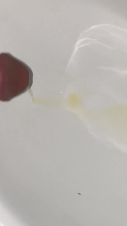 Office Toilet Jerk off Part 31