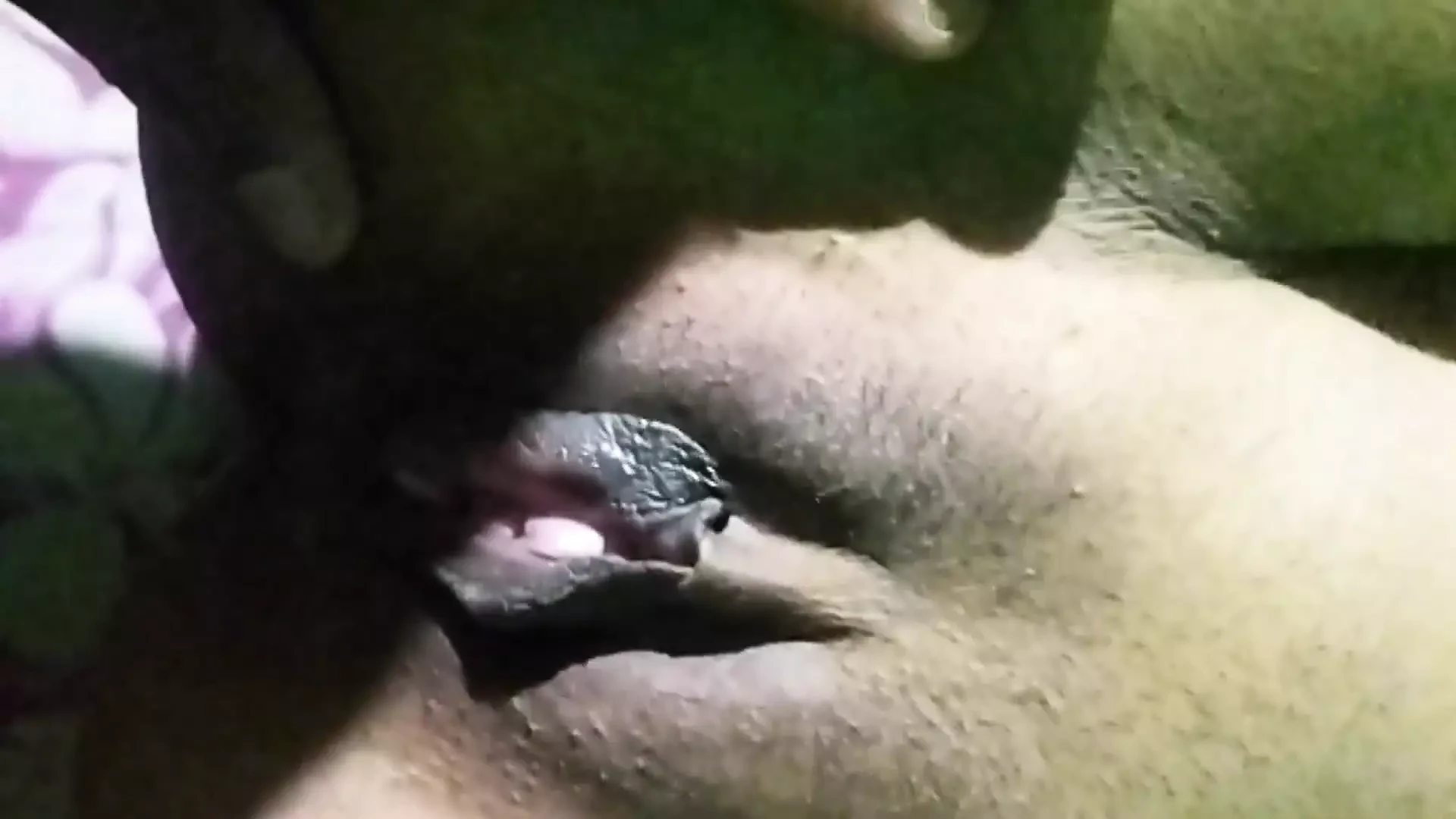 प्रेमी और प्रेमिका की चुदाई
