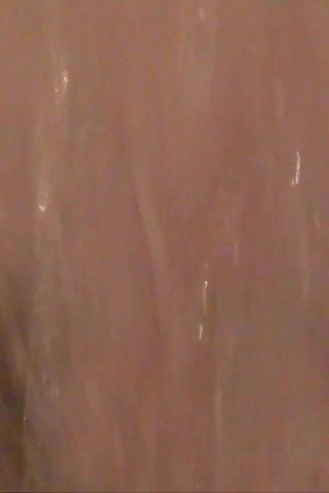 르네