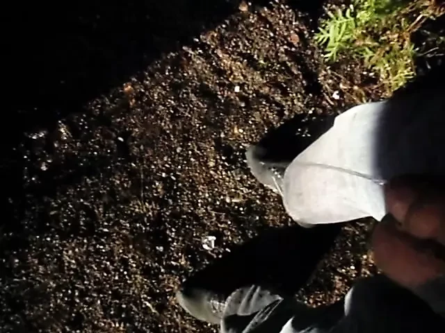 Me pissing in public outdoors
