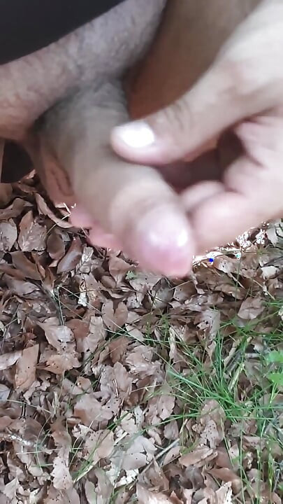 Ich gehe nackt durch den Wald. Die Suche nach einem Ort zum wichsen!