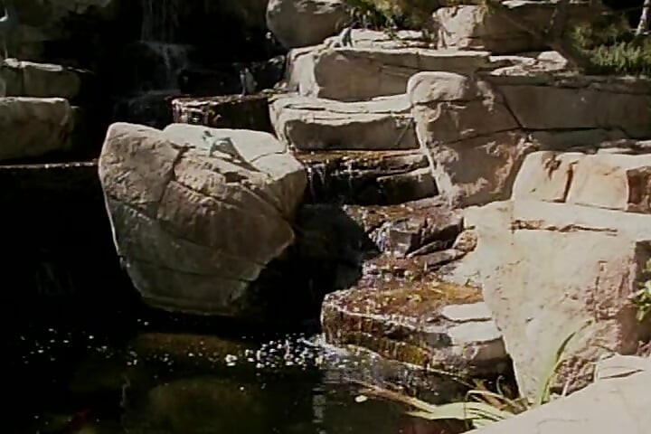 Curve blonde platină care împart o jucărie cu vibrator legat lângă piscină