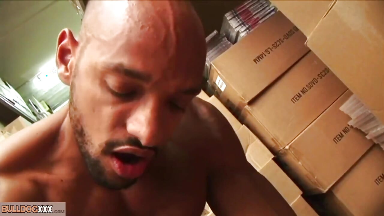 BullDogXXX - セックスアクションの3人の労働者