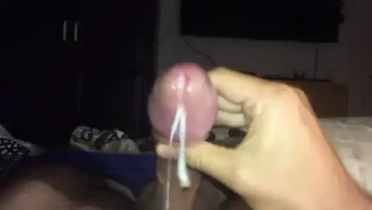 spermfest