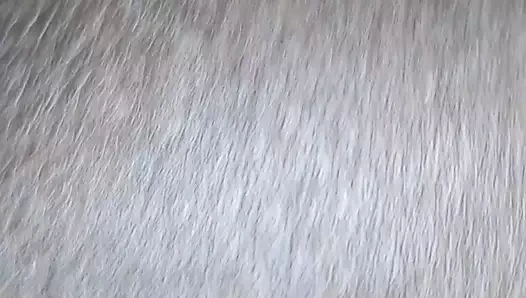 Fucking chocolate wet pussy
