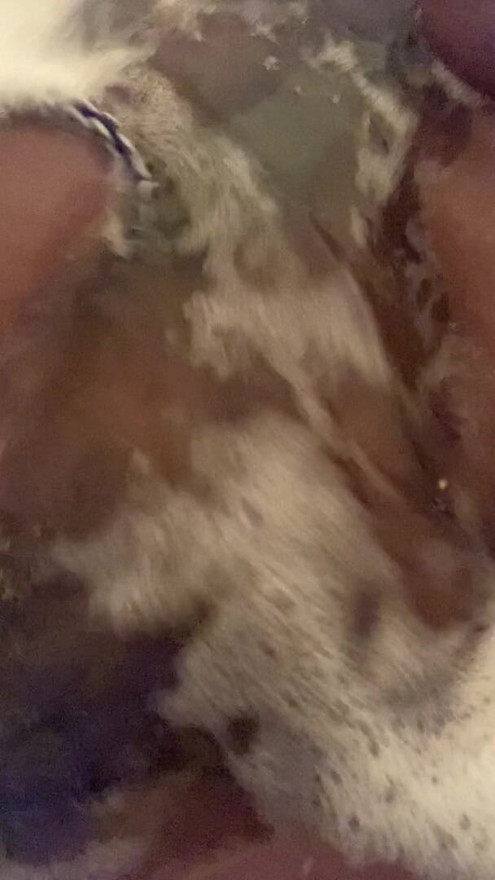 Love fucking
