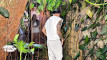 Pratinjau video