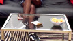 Pregled videozapisa