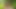 Outdoor: Sex in the Bush
