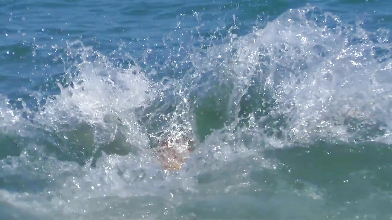 Sarışın plajdayken gerçekten azıyor ve sikişecek bir şey arıyor