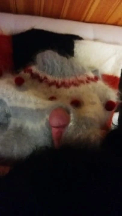 Cum on mohair