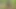 Big-boobed girl got lost in the woods, but found a dick in outdoor