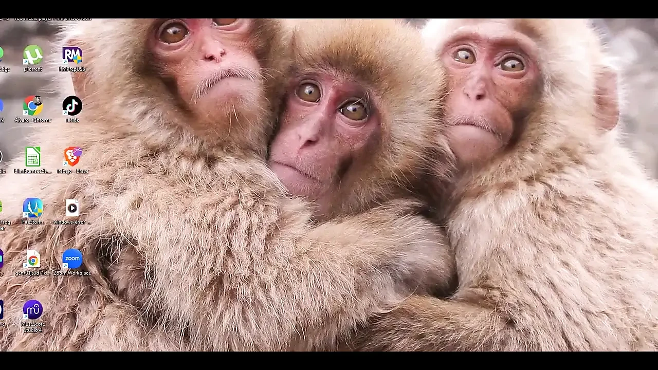 Evangelion Hentai – Misatothreesome Blowjob and Fuck – Anime Manga Japanese Asian Porn