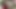 デニスにむち打ち