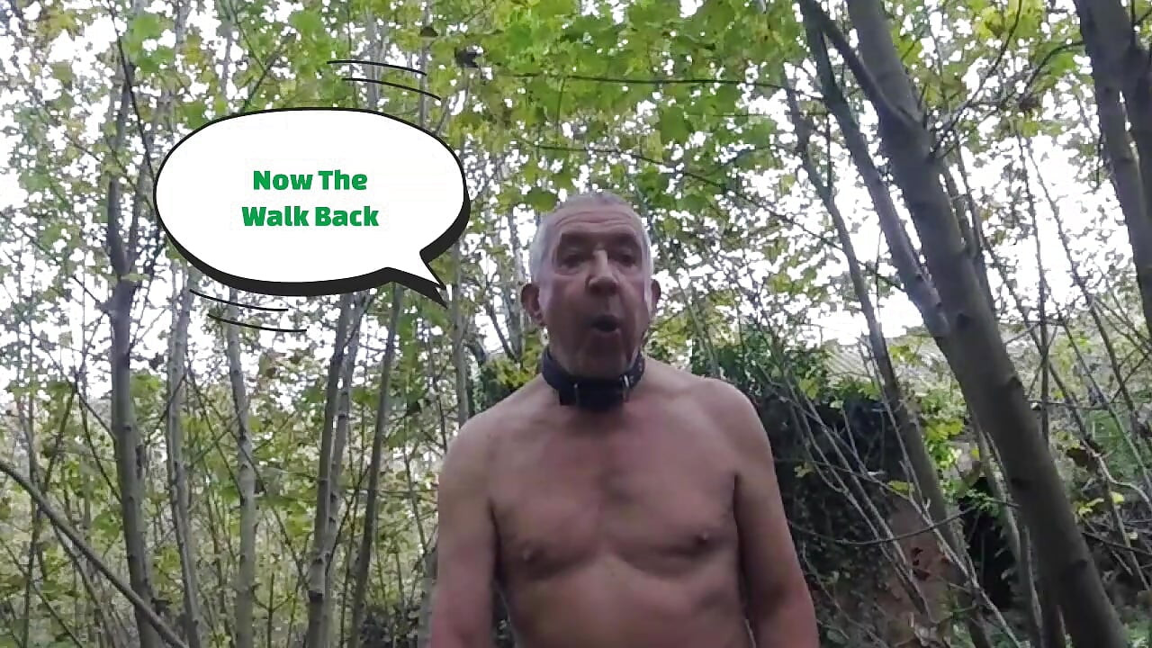 Part 4 Walk 70 2025