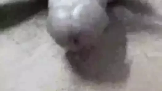 Precum